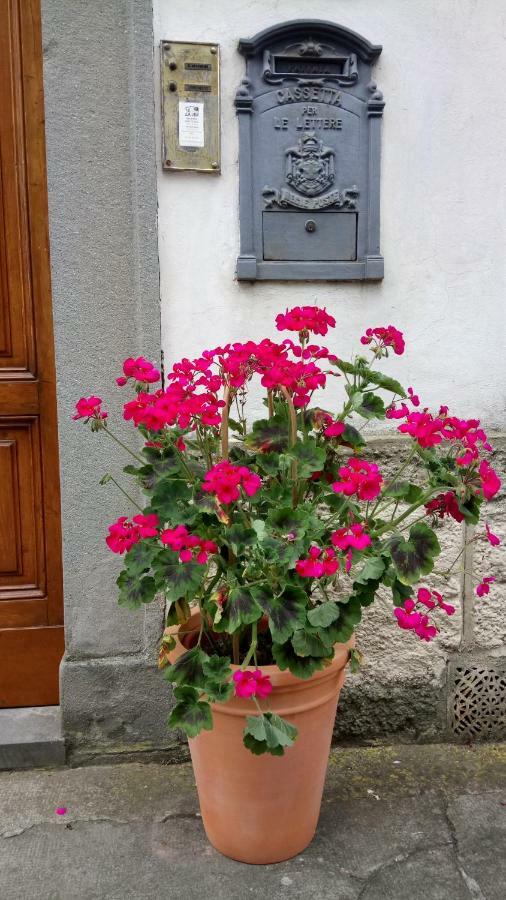 Casa Bartolacci Charme In Bivigliano Exteriör bild